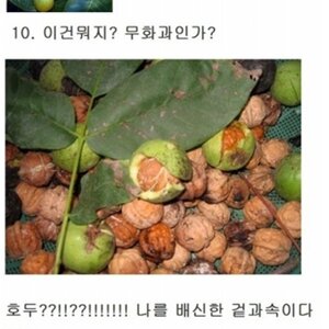 우리가 몰랐던 사실들.jpg
