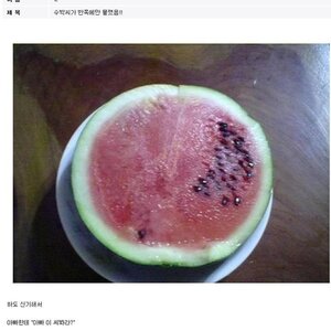 수박씨가 한쪽에만 몰려있슴