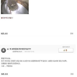 화질구지네요