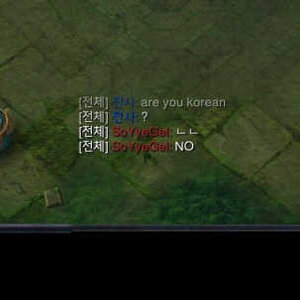 are you korean?