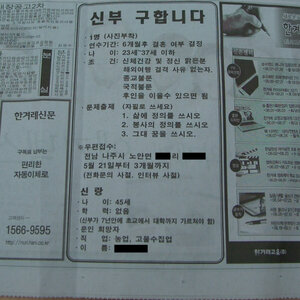 농촌 총각 공개구혼