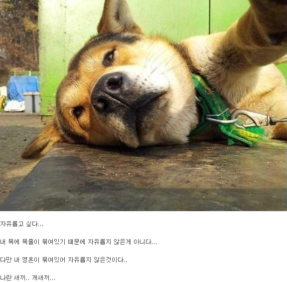 __135228880350502.png