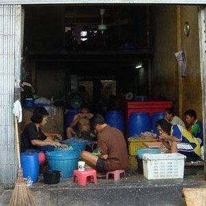 뼈엇ㅂ는 닭발 만드는 법
