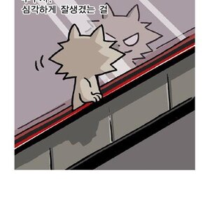 남자들이 착각하는이유