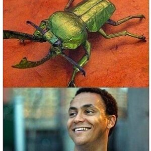 종이접기의 달인.jpg