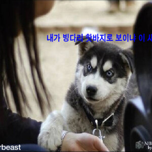 도라에몽