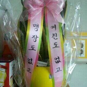병문 안 온 친구가 가져온 흔한 화분....