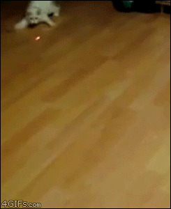 디파일러