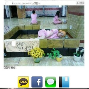 개념개념열매