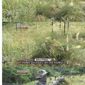반도의 흔한 저격수
