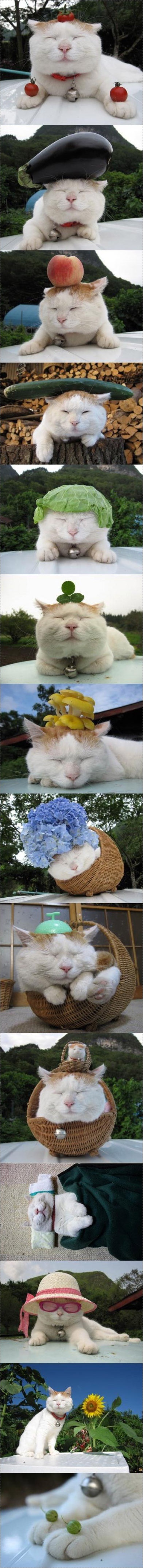 cyworld_com_20110321_111612.jpg