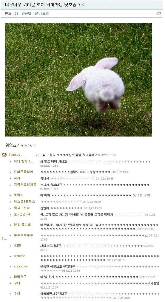 토끼가먼죄야.JPG