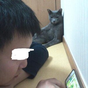 에휴 병신아...