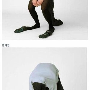 동물친구들~