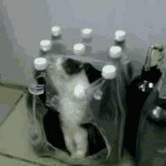 난 여기를 벗어나야겠어