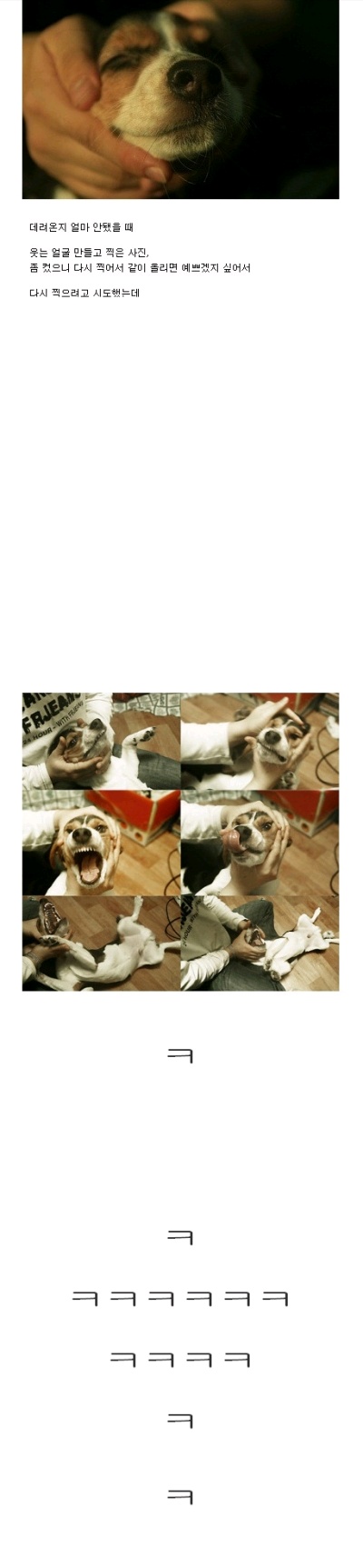 씨발ㅋㅋㅋ.jpg
