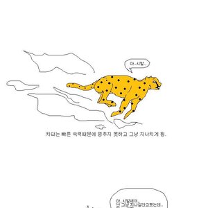치타 사냥하는 법