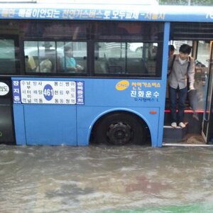 내리라고새퀴야.jpg