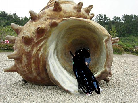 아오이소라.jpg