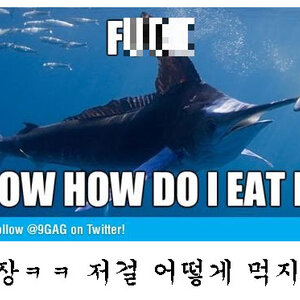 이거좀 빼줘야 할듴ㅋㅋㅋㅋㅋ