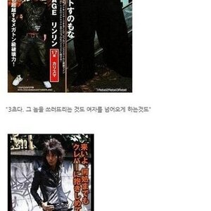일본의 허세류 甲