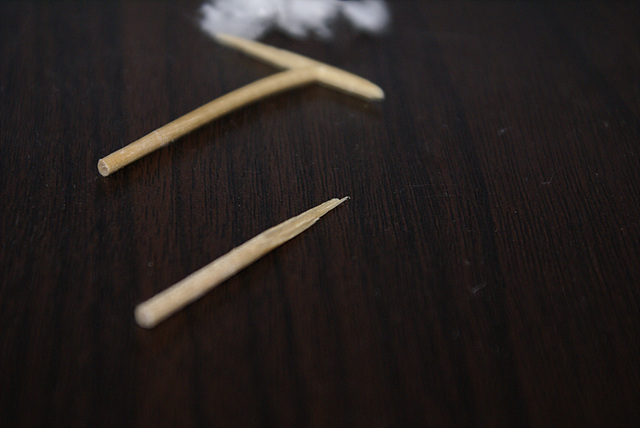 DSC09687.jpg