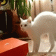 김30